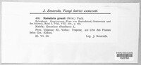 Image Associated With the Occurence